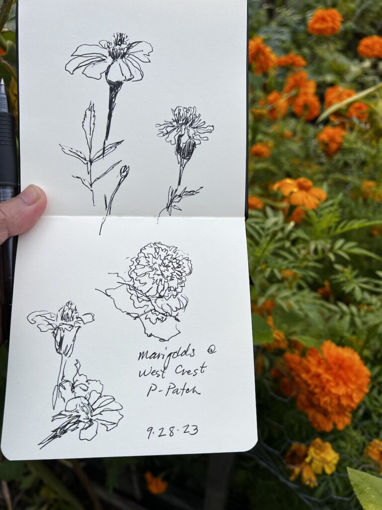 Nature journaling