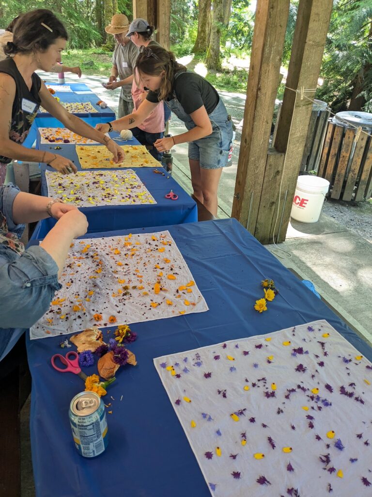 Natural dye with summer flowers